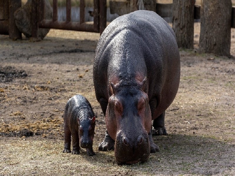 陈女士成功案例